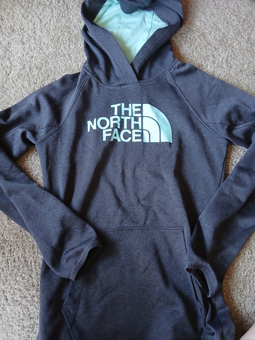 The North Face Charcoal Hoodie with Mint Logo and Lining